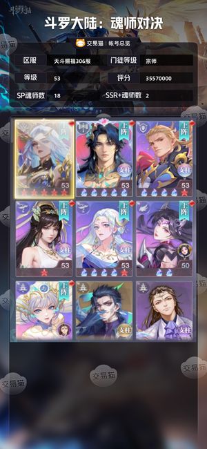 斗罗大陆：魂师对决【宗师,53级】 306神雪神环齐全