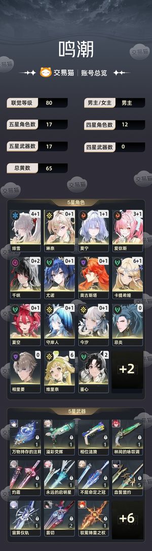 鸣潮【80级】 61卡41绯31爱三队齐全
