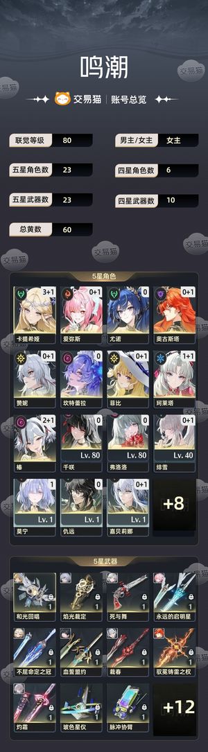 鸣潮【80级】 开服号11