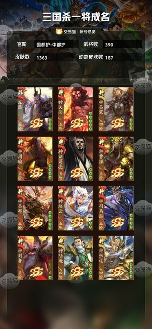 三国杀一将成名（三国杀十周年）【国都护-中都护】 性价比国都护