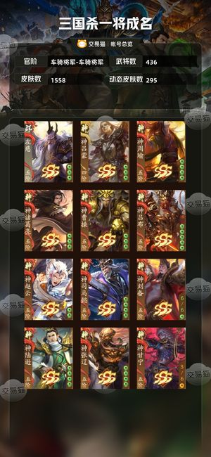 三国杀一将成名（三国杀十周年）【车骑将军-车骑将军】武陆逊多神武