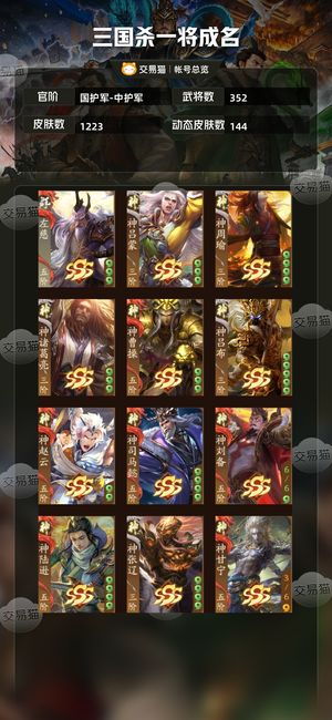 三国杀一将成名（三国杀十周年）【国护军-中护军】 谋姜维威吕布等
