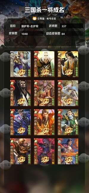 三国杀一将成名（三国杀十周年）【国护军-左护军】 双神武多阴间武将