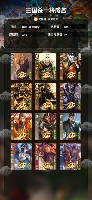 三国杀一将成名（三国杀十周年）【将军-监军将军】 武陆带阴间