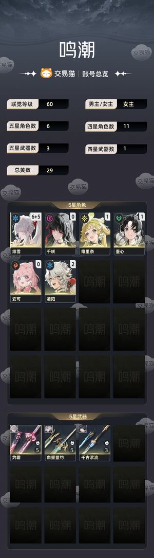 鸣潮【60级】 65绯雪满命满精绯雪
