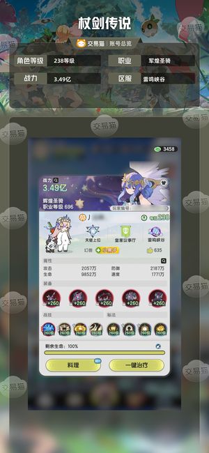 杖剑传说【238级 】 榜前十，可骑士斗士
