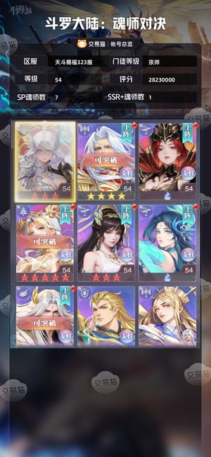 斗罗大陆：魂师对决【宗师,54级】 （宗师）卖不出去一直自玩