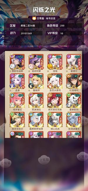 闪烁之光【VIP10,等级250】