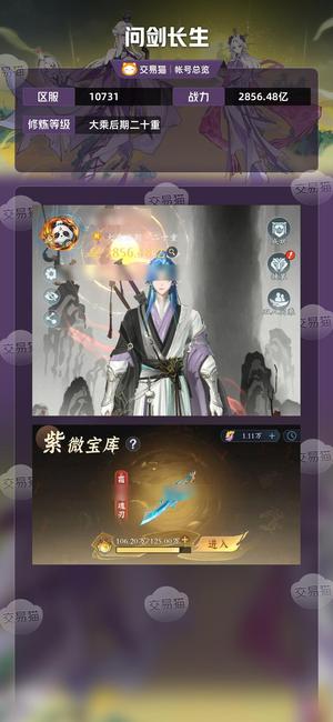 问剑长生【大乘后期二十重】黑衣号，战力第四