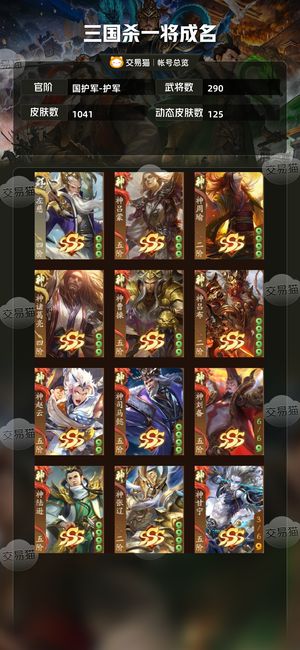 三国杀一将成名（三国杀十周年）【国护军-护军】国护军退游