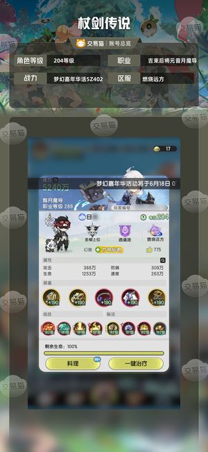 杖剑传说【204级 】 不想玩了，材料用完战力能力