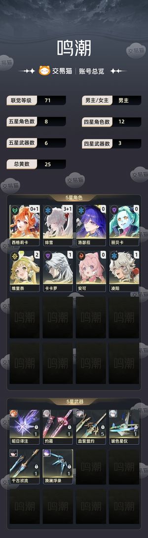 鸣潮【71级】31绯洛，01西 31绯洛，01西