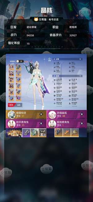 晶核【枪炮师战力54258】 54000枪炮 天空 手册齐全