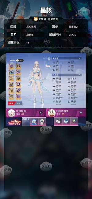 晶核【赏金猎人战力41076】60赏金4w战力首充月卡