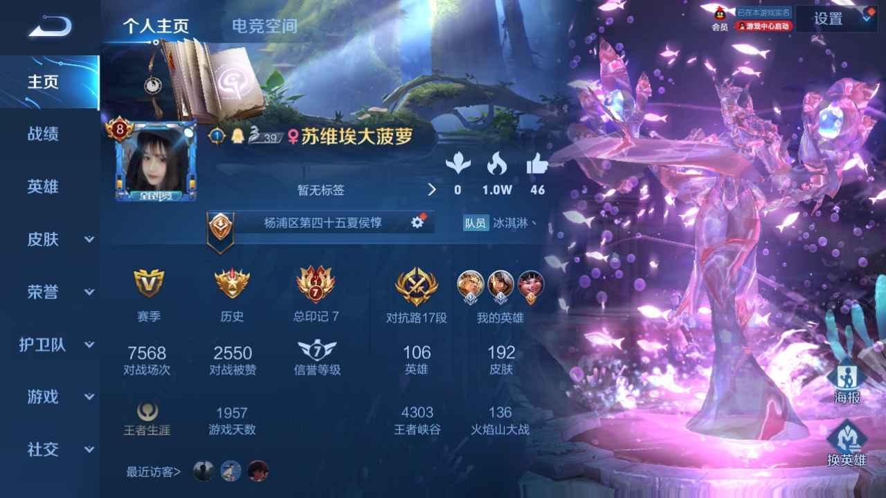 王者荣耀【106英雄192皮肤】V8皮肤号