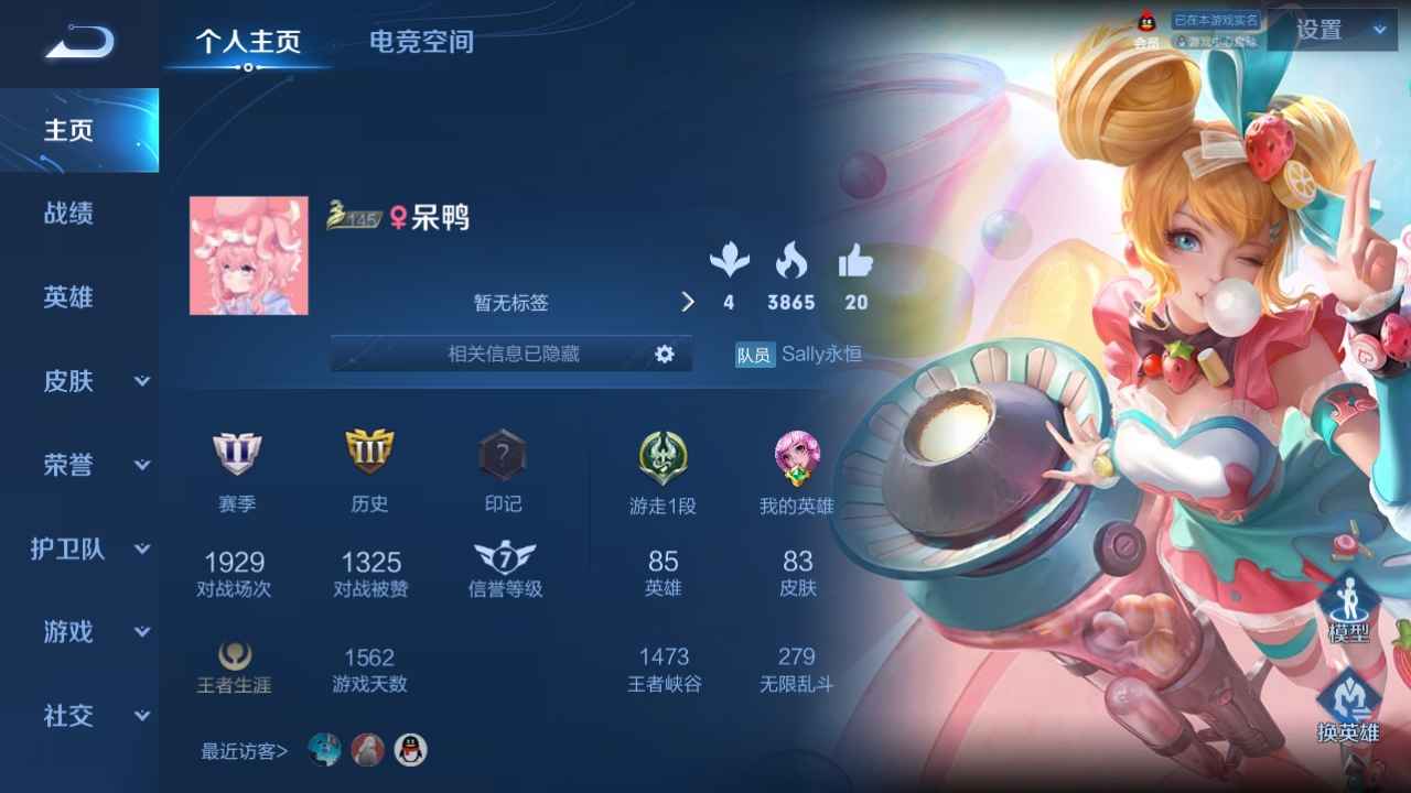 王者荣耀【85英雄83皮肤】三典藏李逍遥时雨天司云鹰飞将