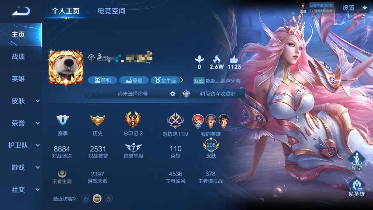 王者荣耀【110英雄208皮肤】王者满英雄207皮肤V8账号