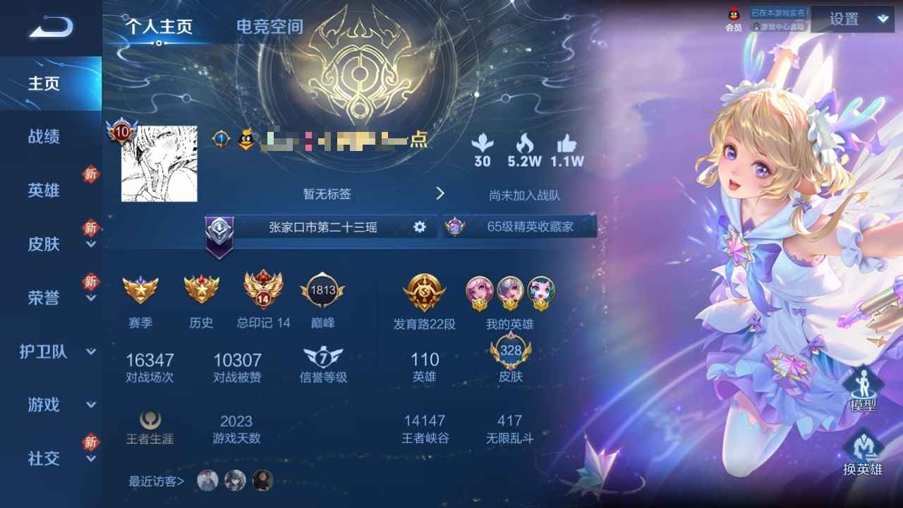 王者荣耀【110英雄328皮肤】V10金标瑶金标小乔金标蔡文姬