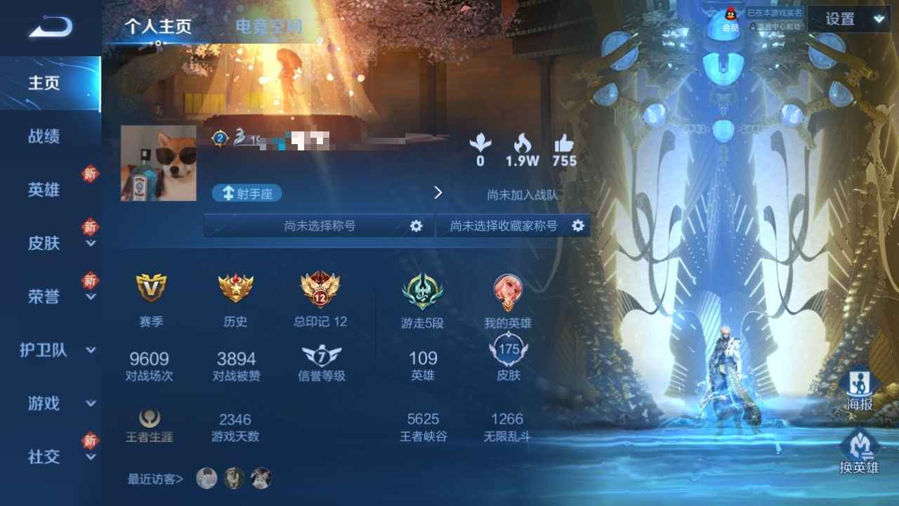 王者荣耀【109英雄175皮肤】109英雄 175皮肤
