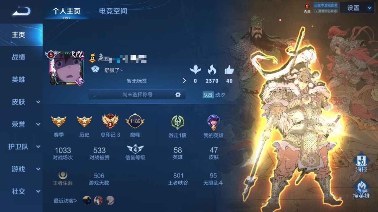 王者荣耀【58英雄47皮肤】神威  朱雀 QQ有年svip