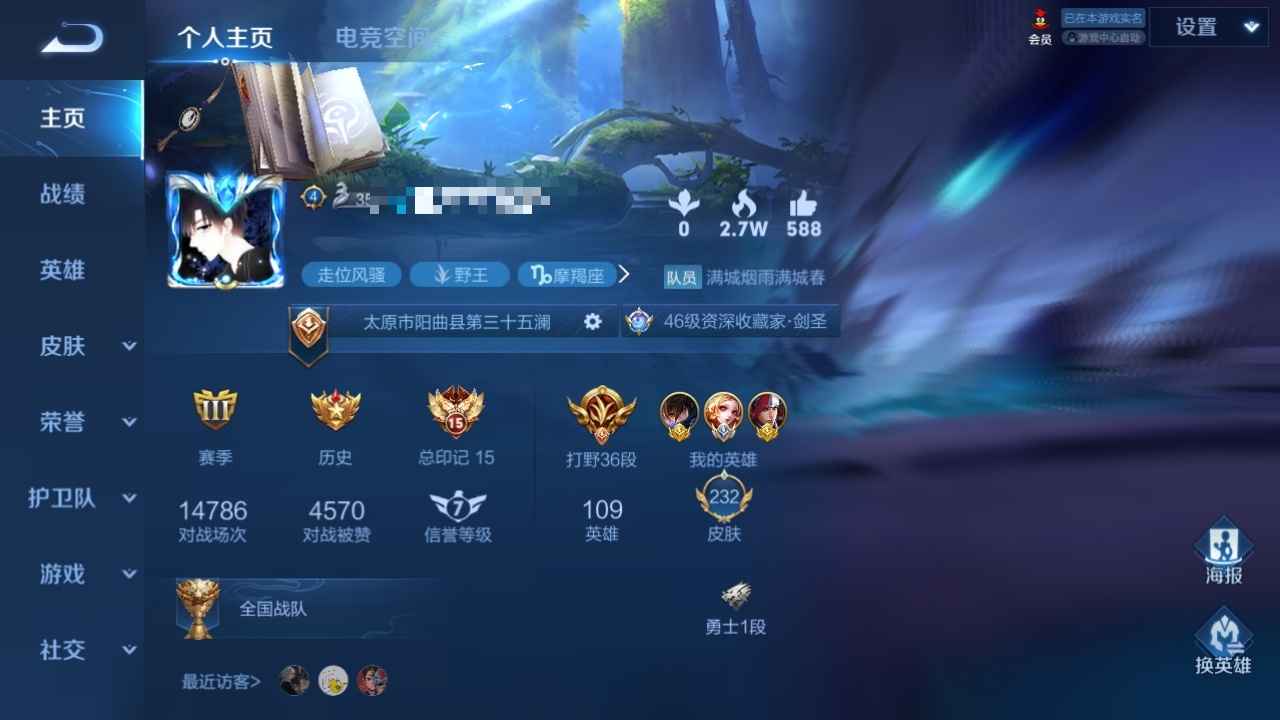王者荣耀【109英雄232皮肤】小国标王者号