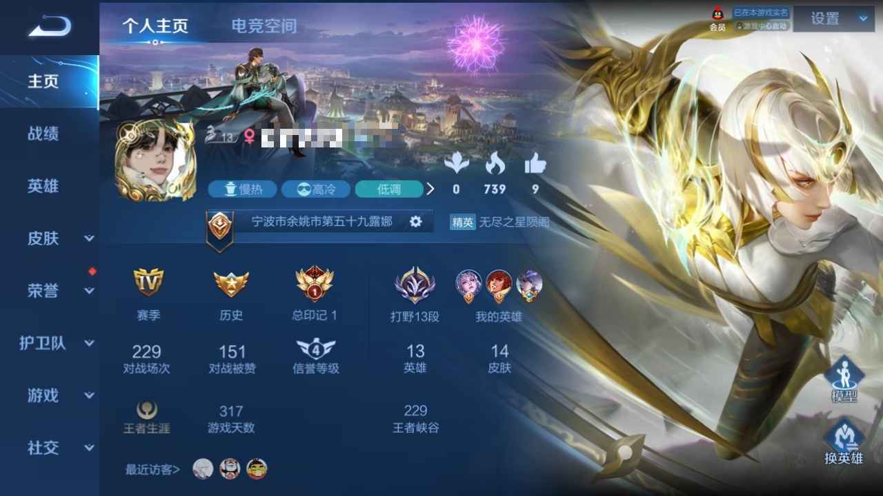 王者荣耀【13英雄14皮肤】高胜率高质量皮肤小号