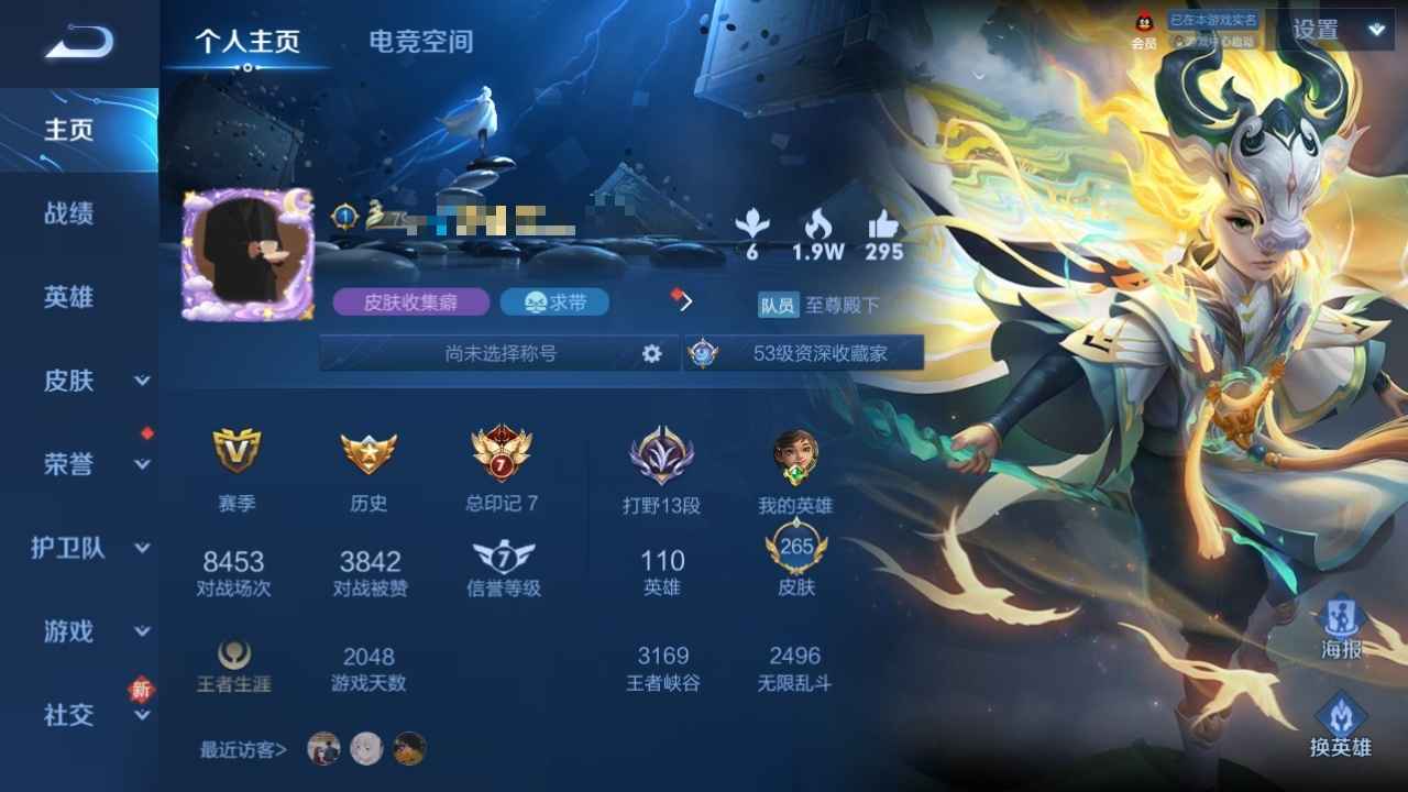 王者荣耀【110英雄265皮肤】265皮贵9。3星元2典藏