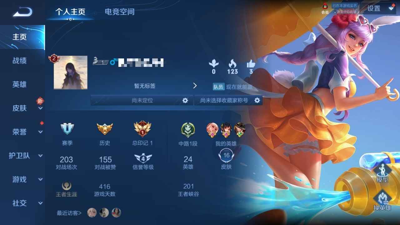 王者荣耀【24英雄16皮肤】射手专用75胜率以上 可二次