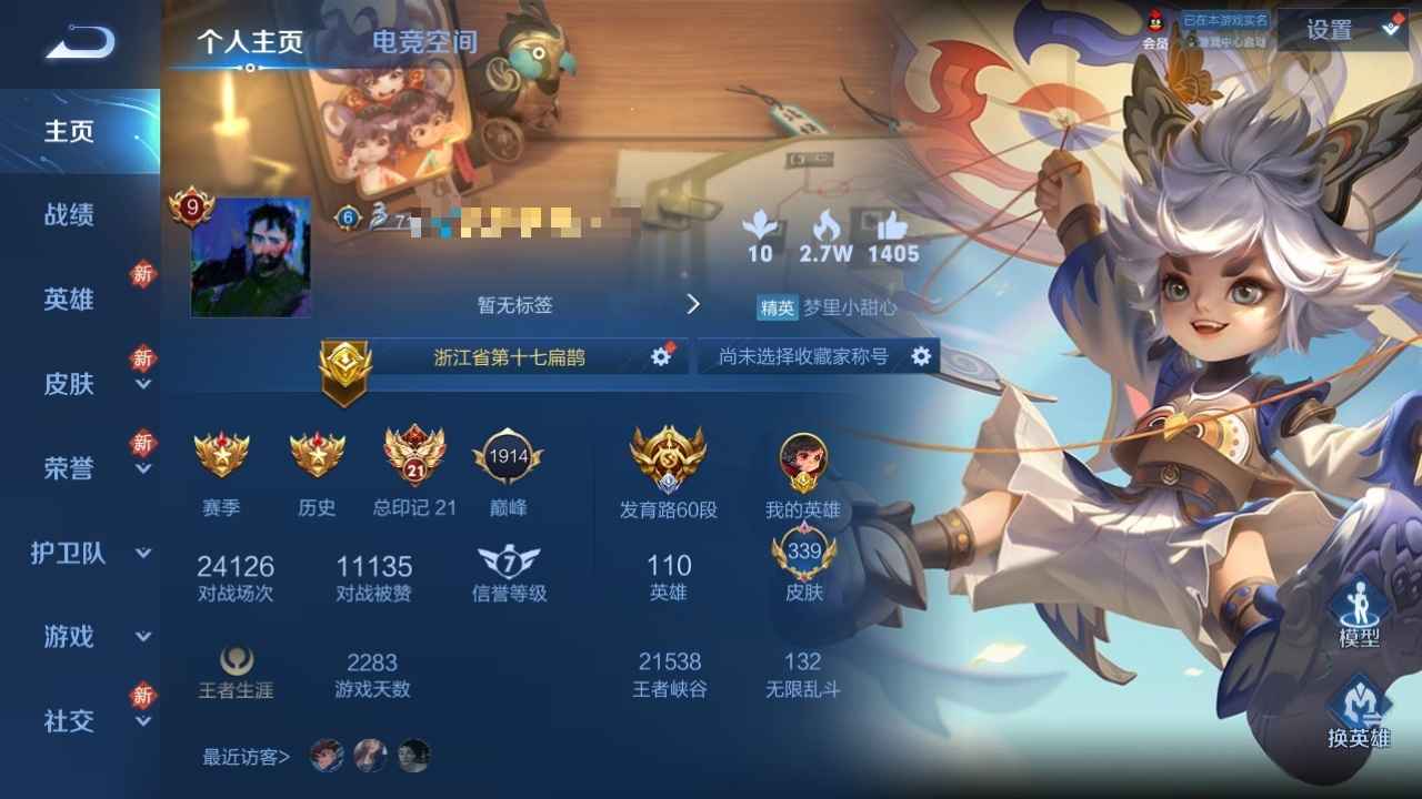 王者荣耀【110英雄339皮肤】生活困难卖号看病
