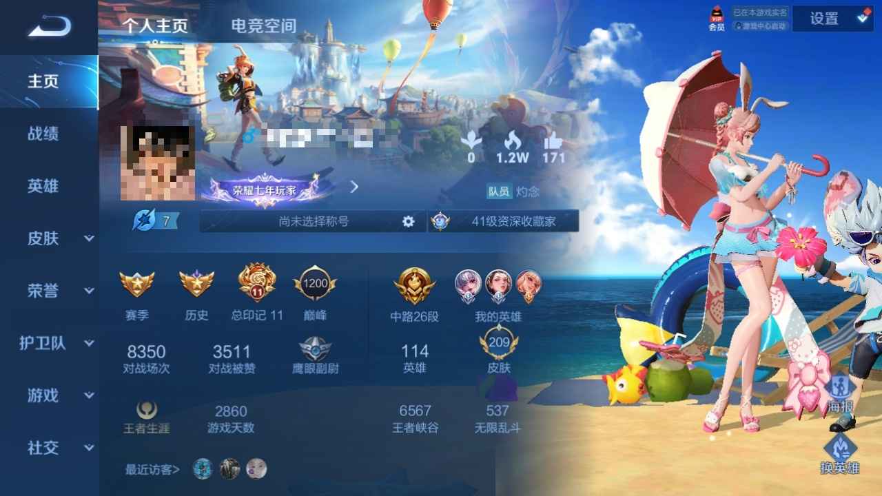 王者荣耀【114英雄209皮肤】贵族七低价处理多限定