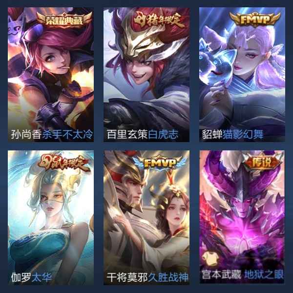 王者荣耀【113英雄216皮肤】王者v8 