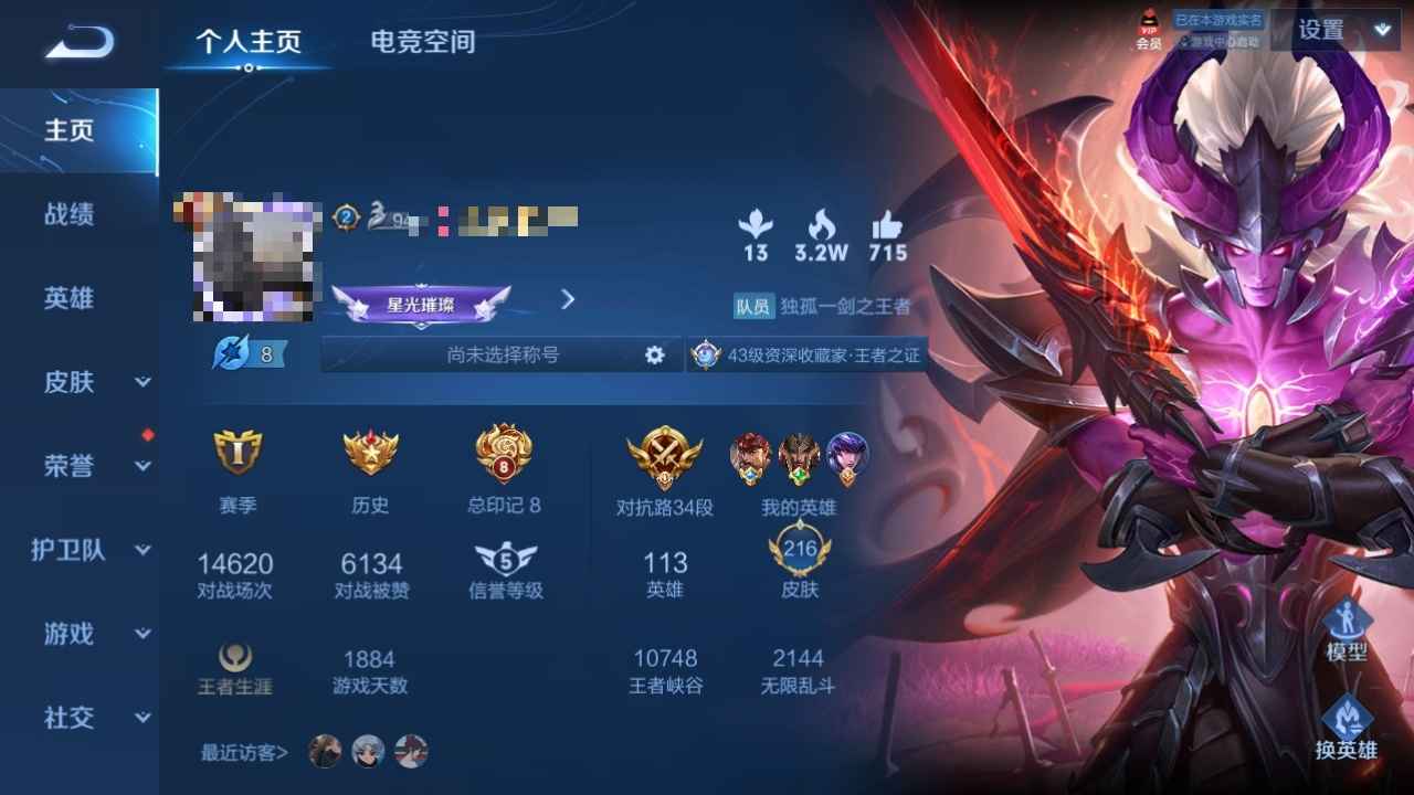 王者荣耀【113英雄216皮肤】王者v8 