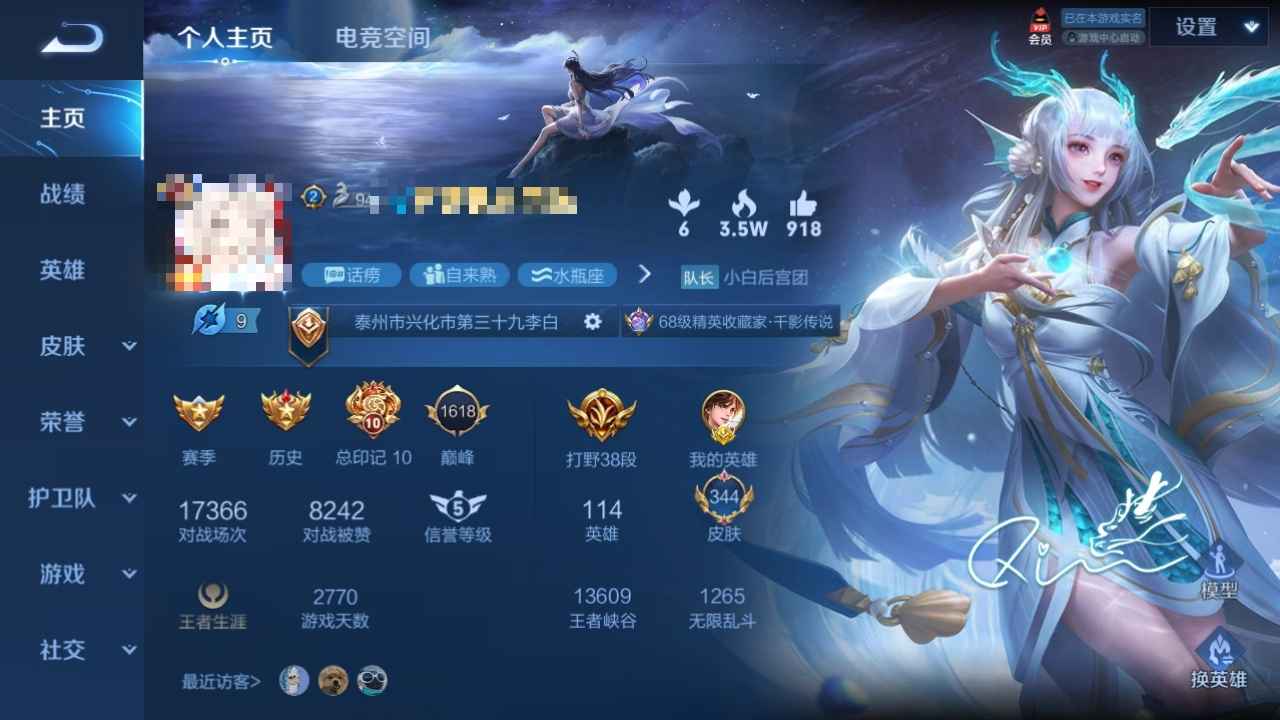 王者荣耀【114英雄344皮肤】王者荣耀贵10号，***不能玩了