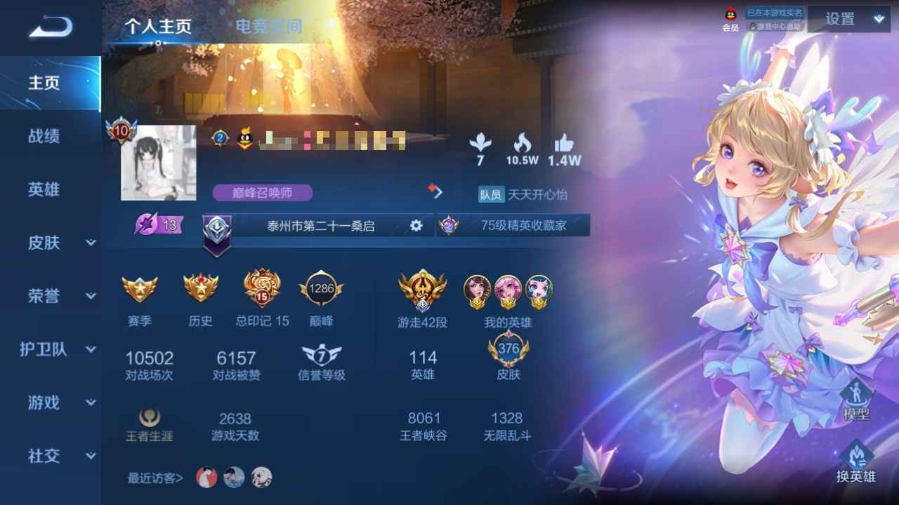 王者荣耀【114英雄376皮肤】软妹号，376皮肤，多省标