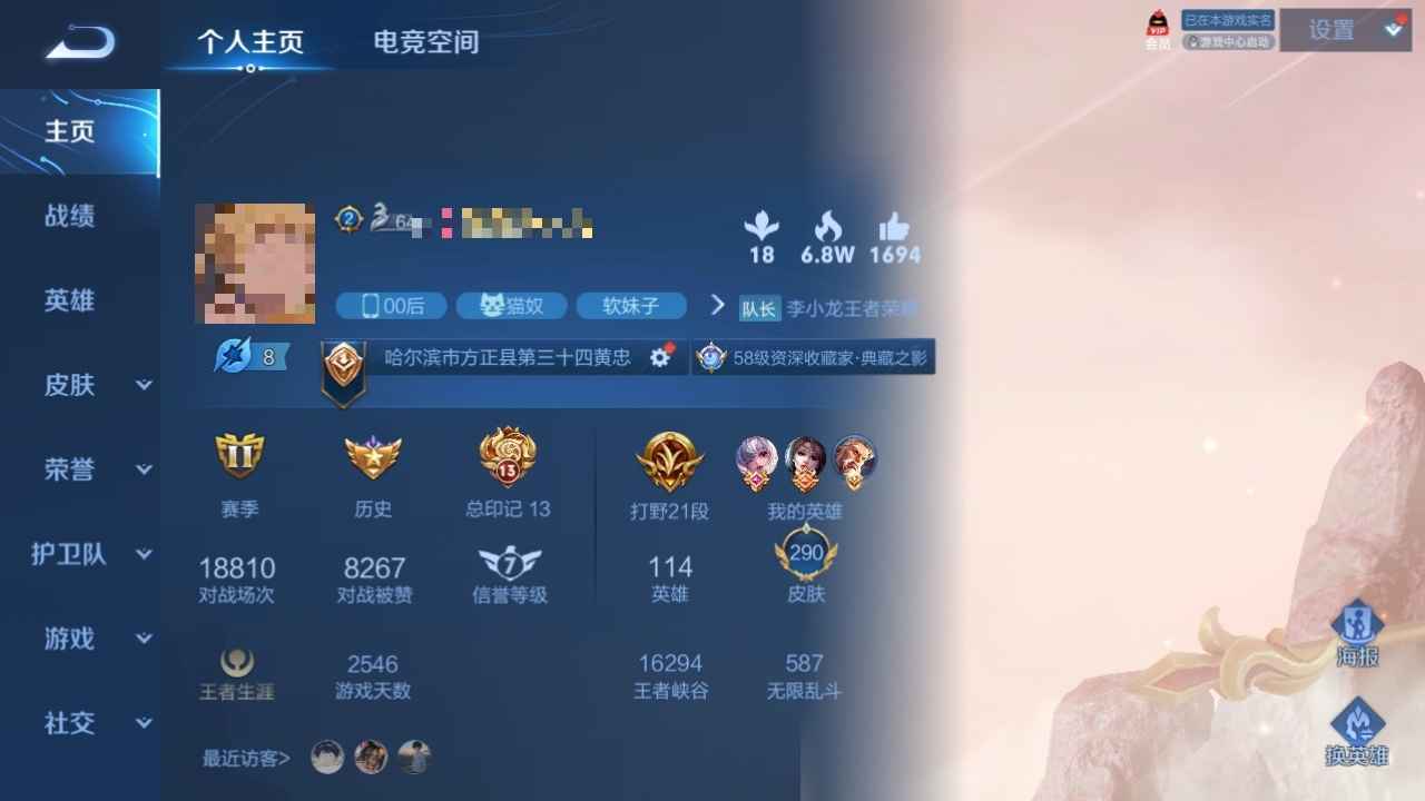 王者荣耀【114英雄290皮肤】王者荣耀小