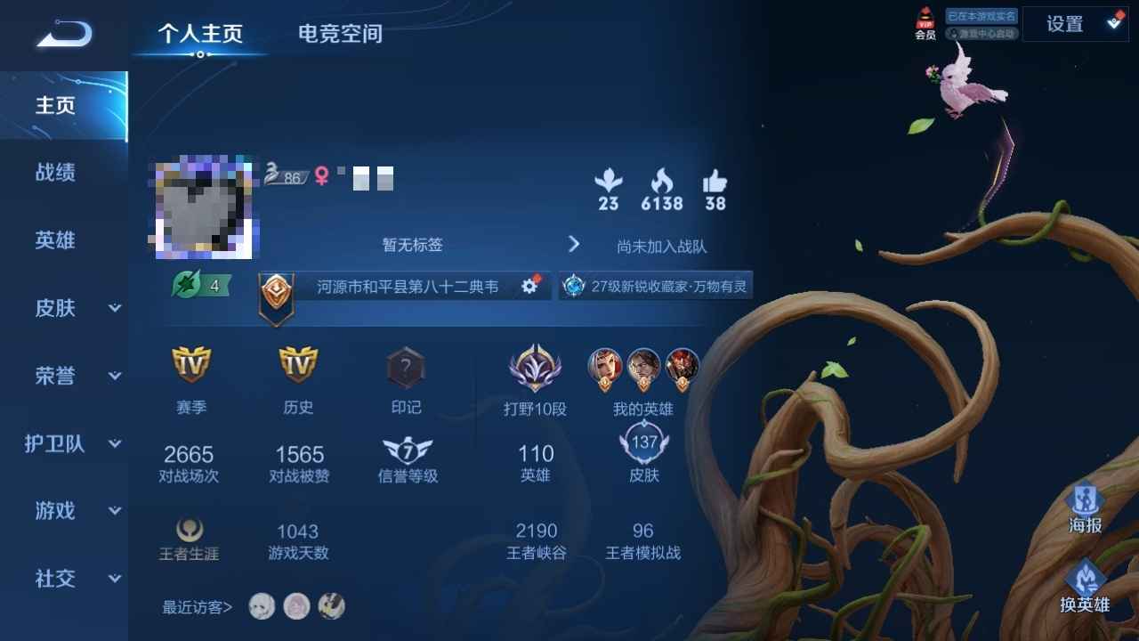 王者荣耀【110英雄137皮肤】总共25款限定皮肤